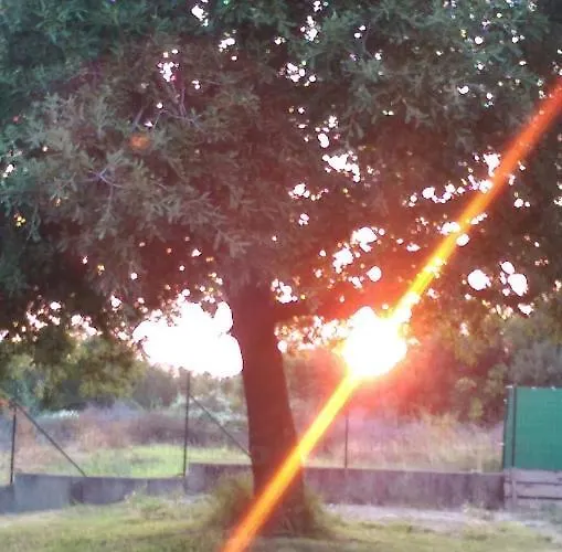 Holiday home House Romi